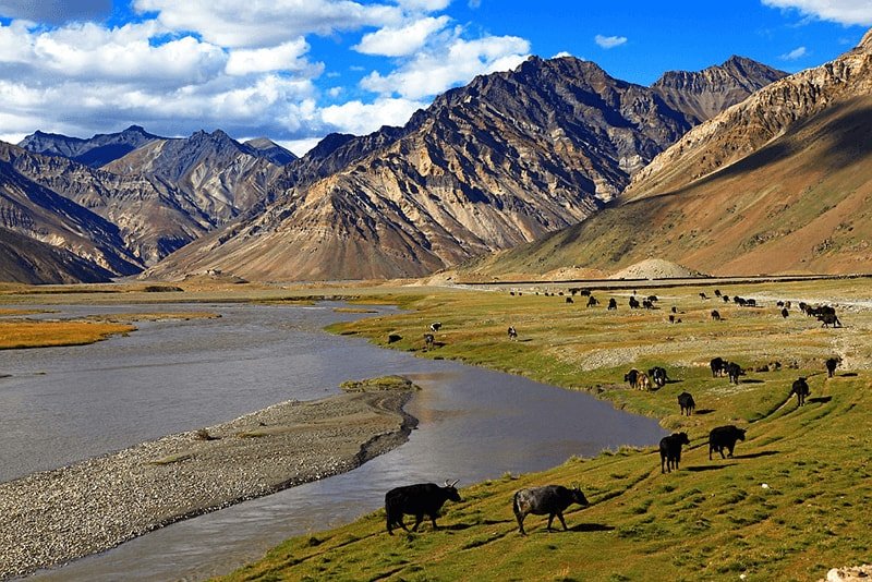 Markha Valley Trek